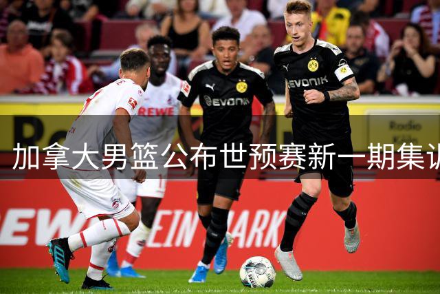 加拿大男篮公布世预赛新一期集训名单 沃克多特领衔
