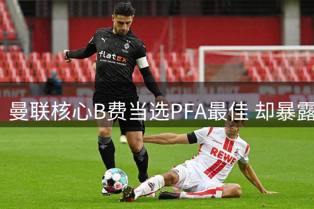 曼联核心B费当选PFA最佳 却暴露球队战术顽疾